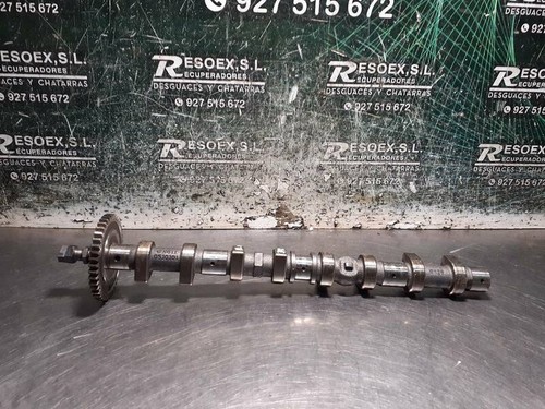 R6110510101 camshaft 366681