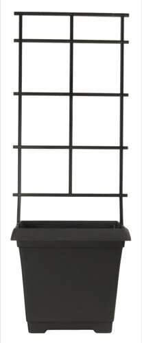 Square trellis planter - trellis,