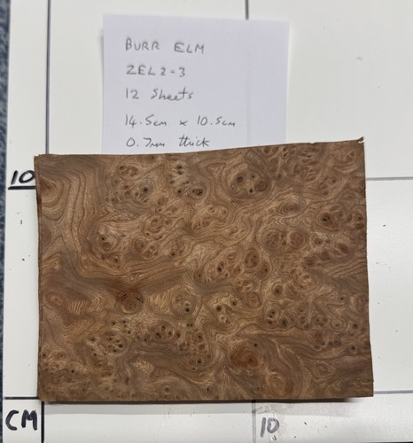 Burr elm real - real, 12