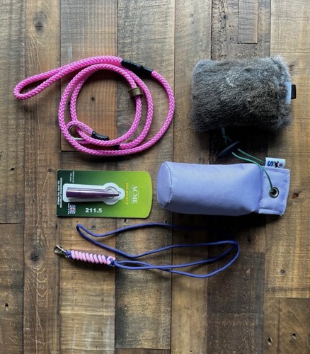 Tickled pink gundog training - gundog,
