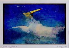 Sailing 339060 O'Neill Cup