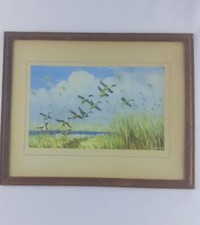 Vintage Lithographic Print for Sir Peter Scott signed printed 1950