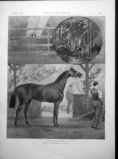 Antique Old Print Common