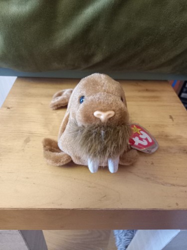 Beanie babies collection - beanie,