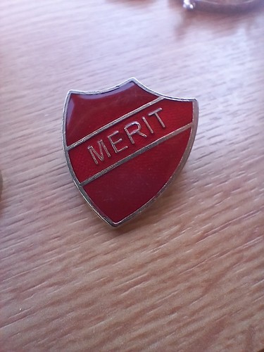 Vintage school shield merit - school,