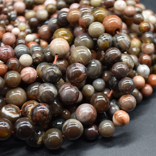 Petrified wood agate - petrified,