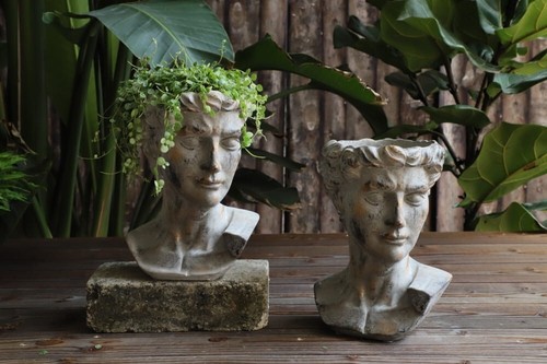 Large concrete flower pot - flower, face