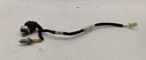 Bulb pressure oil - pressure,