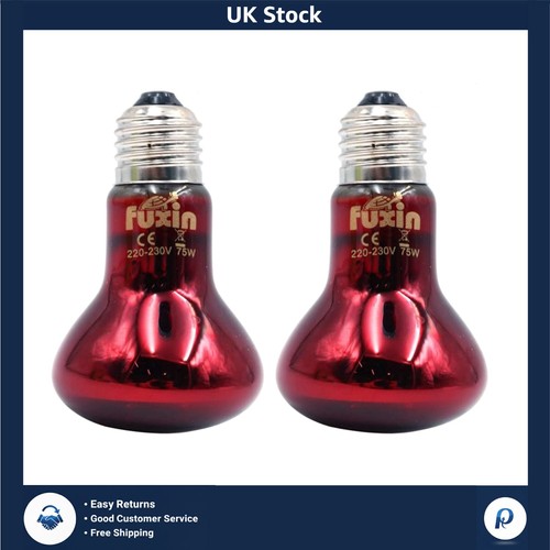 Infrared red reptile heat - infrared,