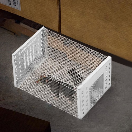 Small rat trap - rat, catcher
