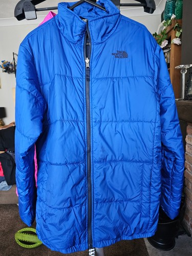 The north face jacket