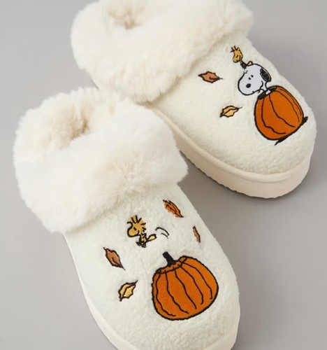 Fall peanuts snoopy - ae,