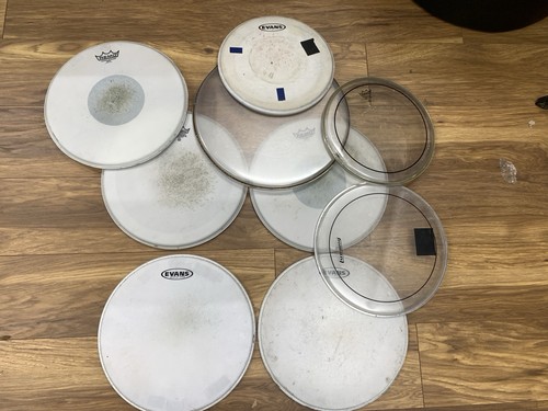 Job lot remo evans - job,