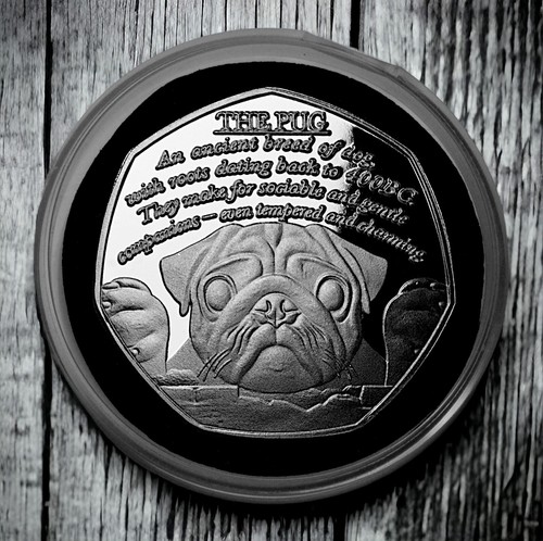 The pug silver commemorative - pug',