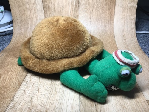 Frank the tortoise - frank,