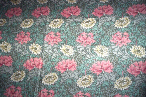 William morris chrysanthemum - william,