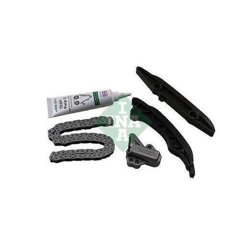559 1007 ina timing chain - ina,