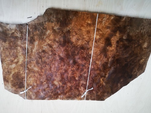 Burr burl walnut veneer - veneer, 45