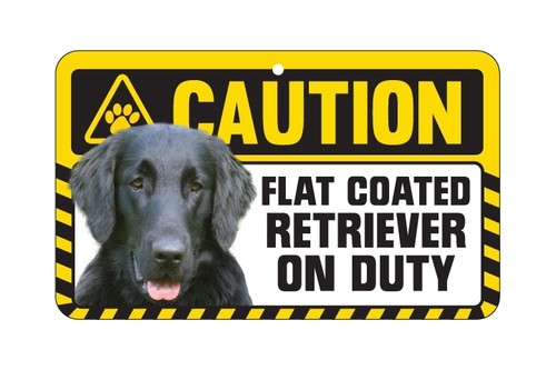 Dog sign caution beware - caution,