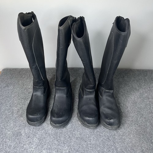 Pair mountain horse - pair,