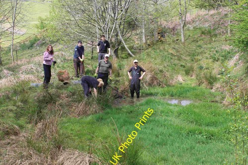 Photo pond clearance - a1,
