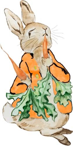 Peter rabbit watercolour wall - watercolour,