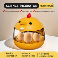 5 Eggs Incubator for Hatching