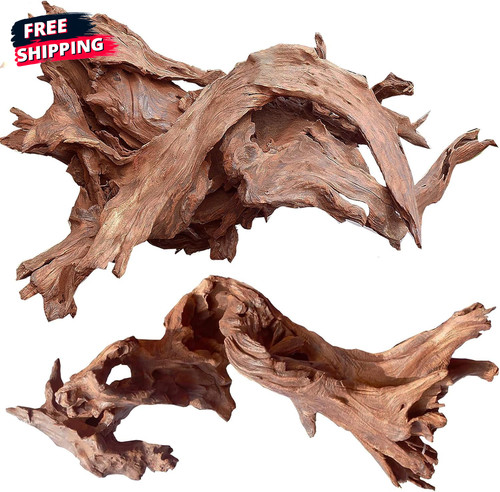 Natural large aquarium - large,