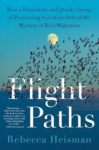 Flight paths how a - flight,
