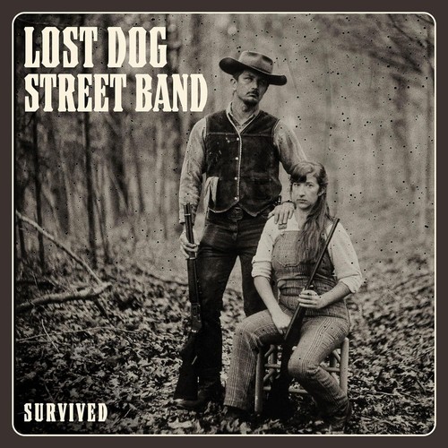 Lost dog street band survived - lost,