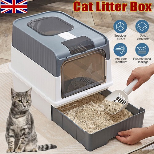 Large smart cat litter - cat, box