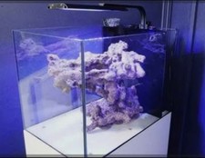 Tmc next wave 85  nano marine