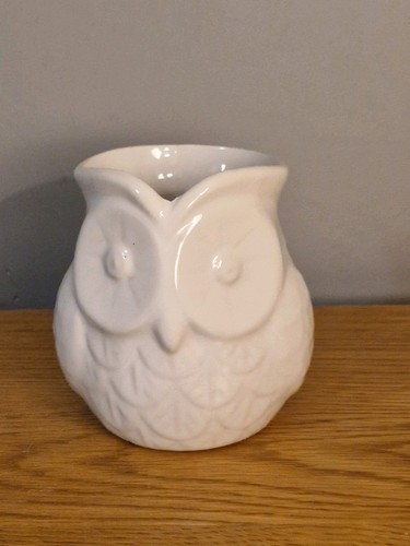 Plant pot small owl shaped - plant,