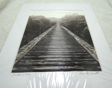 8 x 10 Black And White