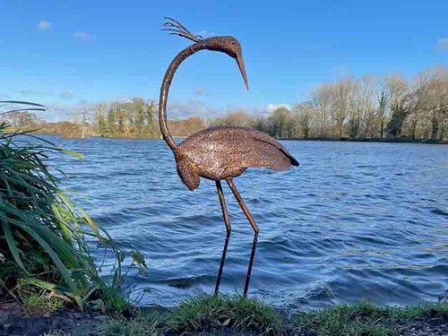 Baby heron with turned - with,