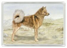 FINNISH SPITZ DOG ART PRINT