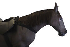 Official Libby's ELASTIC