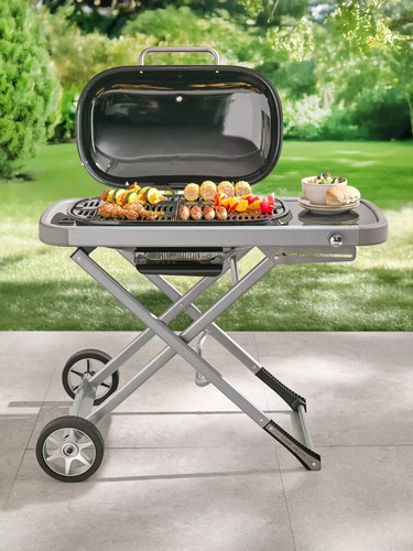 Compact foldable gas bbq with - compact,