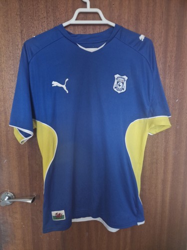 Cardiff city 2009-10