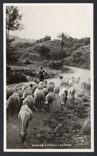 Postcard cyprus island - postcard,