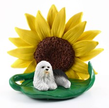 Old English Sheepdog Sunflower