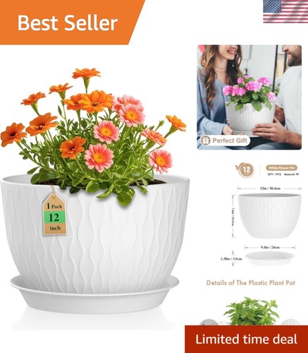 Inch large plant - large, for
