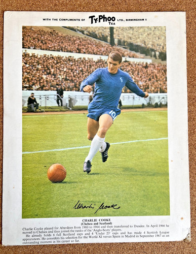 Typhoo tea football card - typhoo,