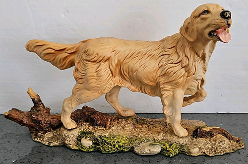 Beautiful golden retriever - golden,
