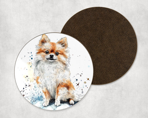 Pomeranian puppy dog - puppy,
