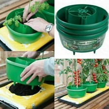 TOMATO PLANT HALO TOMATOES GROW PLANTER GARDEN WATER POT TUB HALOS  CANE SUPPORT