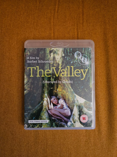 The valley obscured - valley, (obscured