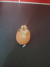 Gallus gallusdomesticus Taxidermy Chick In Egg
