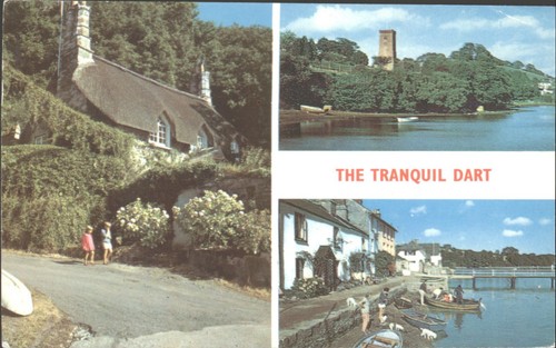 Vintage the tranquil dart - the,