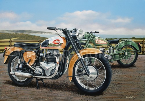 Bsa golden flash - flash,